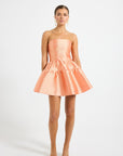 Pippa Mini Dress