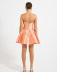 Pippa Mini Dress