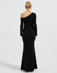Arlo Maxi