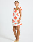 Brielle Mini Dress
