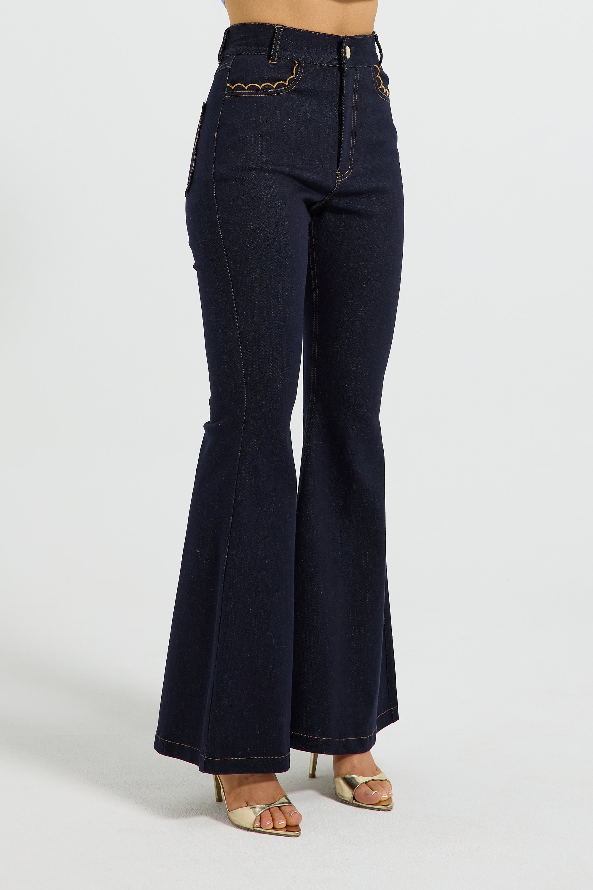 Hudson Denim Flared Pant