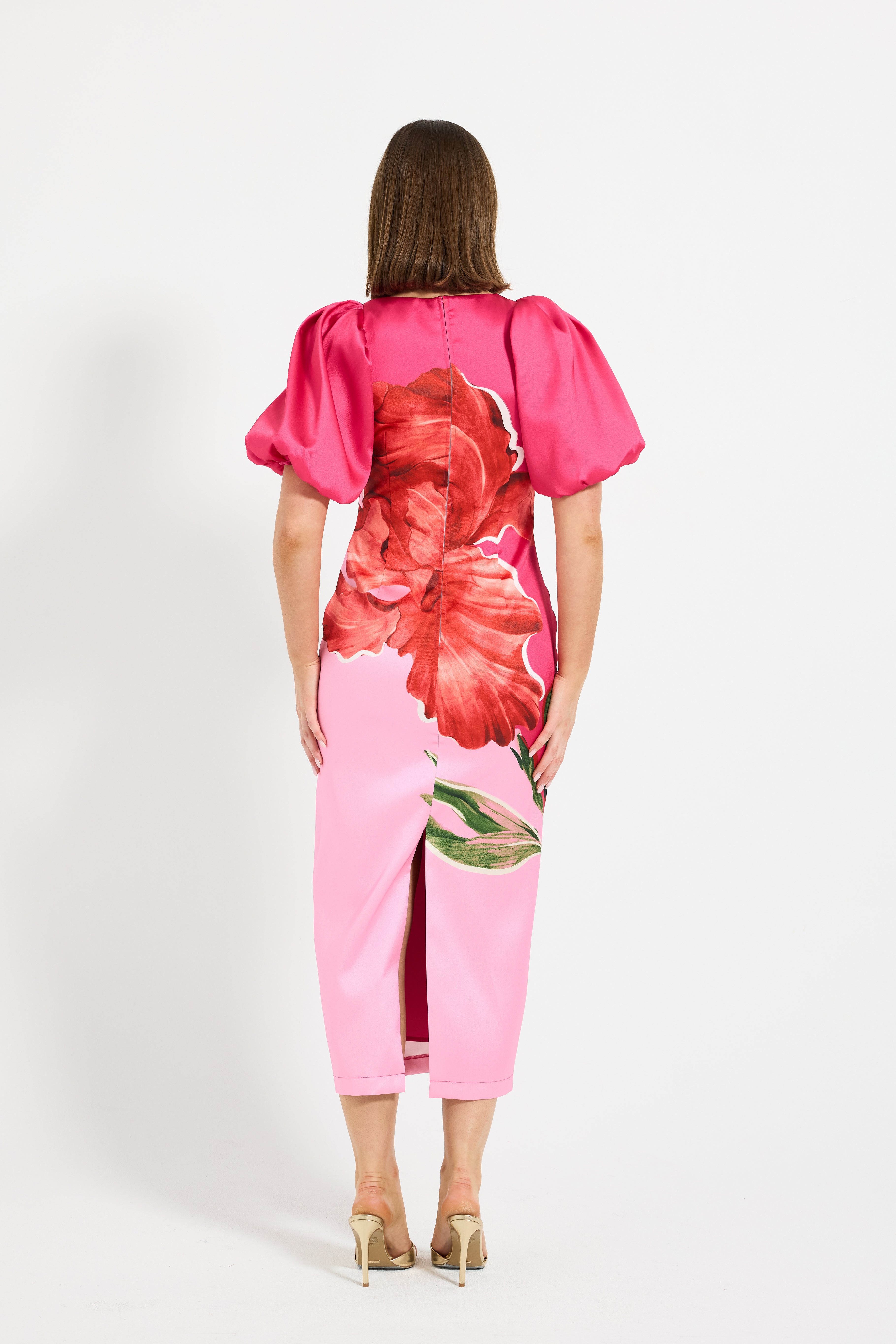 pasduchas ladida midi dress Wildbloom Sleeve Midi